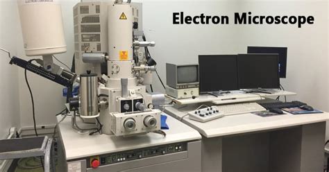 electron microscope parts|Electron Microscope Principle, Uses, Types and Images (Labeled .
